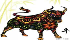 “属牛和属龙的人在一起会怎么样