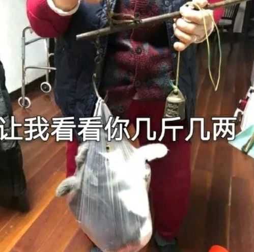 丑未戌三刑如何化解