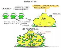 “八字木旺 肝-八字中木旺的人身体怎
