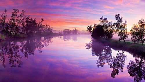 八字中木多是什么