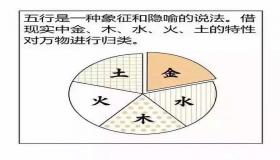 “阴阳五行八字命理学-八字地支阴阳