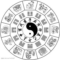 属龙和属蛇的生辰八字合不