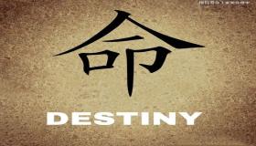 “女命八字伤官生财-女命八字伤官生