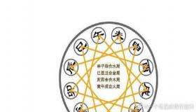 “金水伤官格女命遇八字合财局-金水