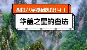 “八字里华盖重重代表什么-八字里面