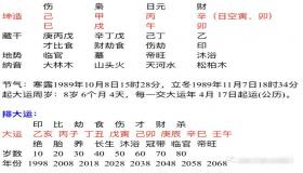 “庚辰明月八字命理预测-庚辰年庚辰