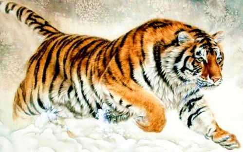 生肖羊的八字配对属虎