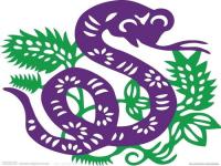 “属蛇的人八字属什么生肖-属蛇在金