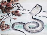 “属相属蛇的八字好吗-为什么说属蛇