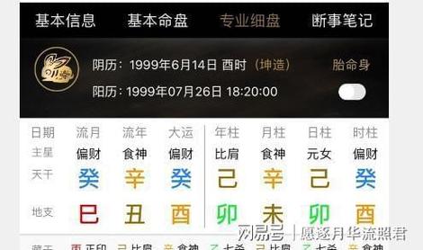 八字食神偏印格