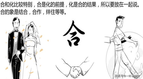 八字的三合与半合