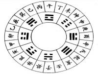 “八字天干地支合-八字八字中地支的