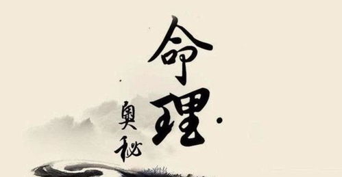 两人八字相合越多是什么