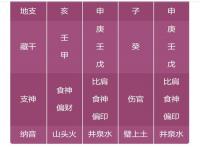 “癸巳日的人八字婚配-丙日癸巳时的
