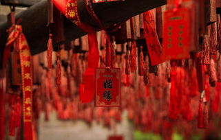 八字算命正缘桃花