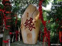 “流年合八字日柱-八字日柱与流年天