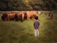 “姓吴的男孩八字起名字-男孩姓吴的