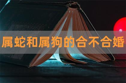 “属狗的和属龙的八字不合吗-属龙的