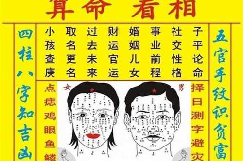 “双胞胎八字的命运-双胞胎不同命运