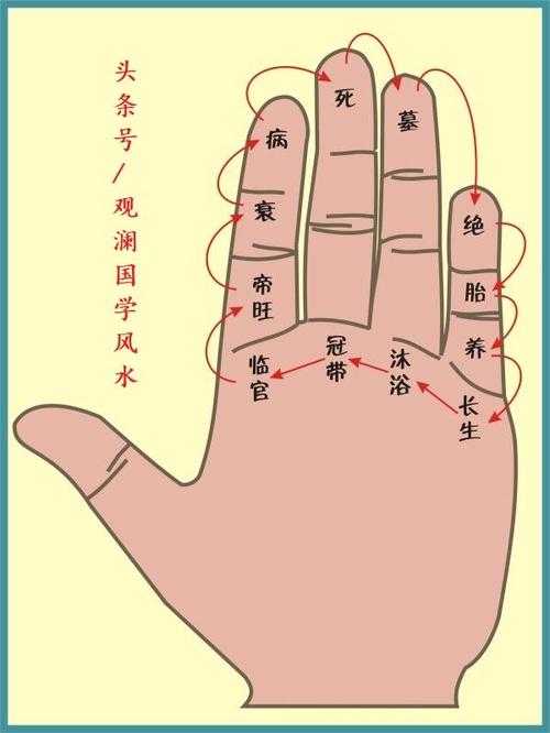 八字日柱食神-食神在哪一柱是真食神