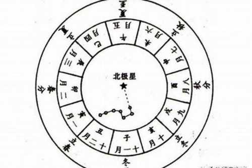 人的八字指什么生肖和动物