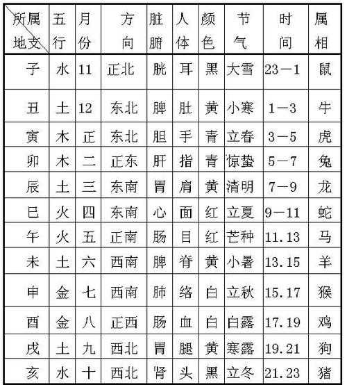 八字四柱干支表-十神四柱八字排盘 命格
