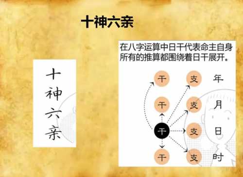 八字里食神偏印比肩