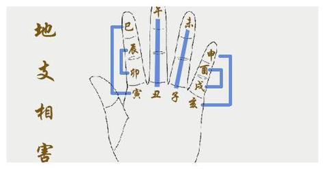 八字地支丑未戌三刑的女命