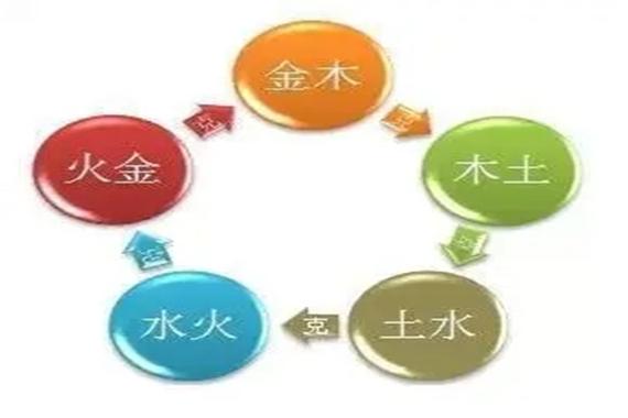 金水伤官格大贵之八字