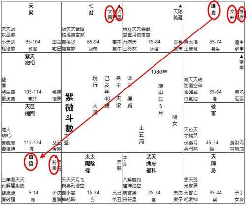 “八字带贪狼星-贪狼星在八字怎么能