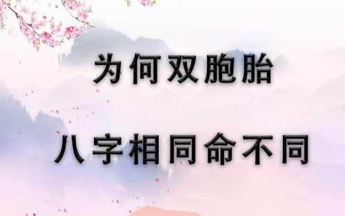 “八字看子女能力 - 八字身强的孩子