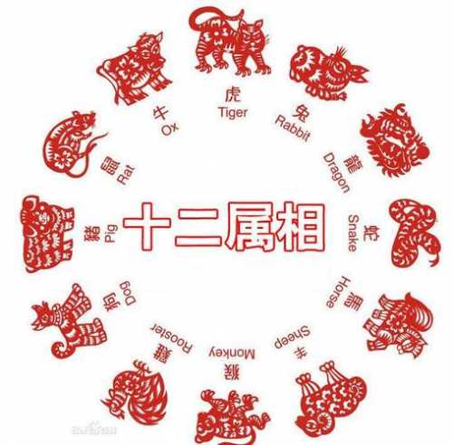 “庚子年发财的八字 - 丁火八字案例1