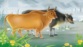 “什么生肖出生于1985年？ 婚姻和事业