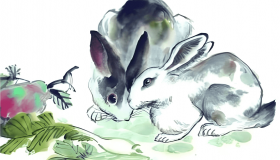 “兔子出生在几个月-十兔九福出生月