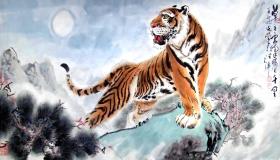 “属虎人的命运 虎人一生运势分析
