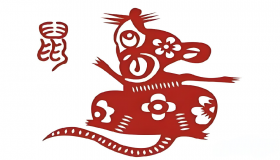 鼠年出生的人的命运 五行是什么命？