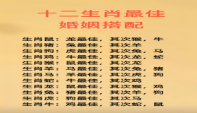 属兔的属相婚配表是生肖 兔子的最佳搭配属相