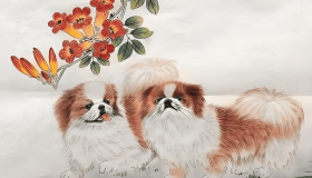 “狗的出生年份 狗年出生人的命运