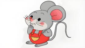 属鼠的人性格如何 分析生肖鼠的性格和脾气