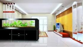 “住宅鱼缸养鱼禁忌