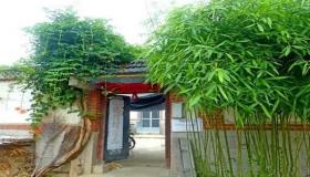 “门前种竹风水禁忌