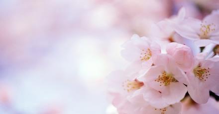 电话号码308代表桃花么