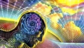 “与疾病相关的数字能量磁场是什么？