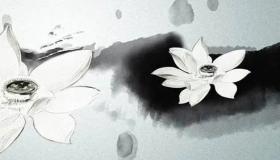 “女性如何选择手机号码吉利？