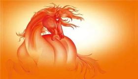 “属马的人用什么号码才吉利？