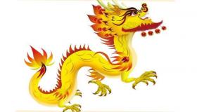 “属龙的人用什么号码才吉利？