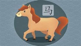 “属马的人如何选择手机尾号？