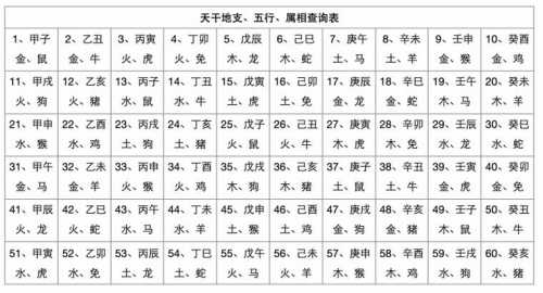 “生辰八字与天干地支：命运的密码