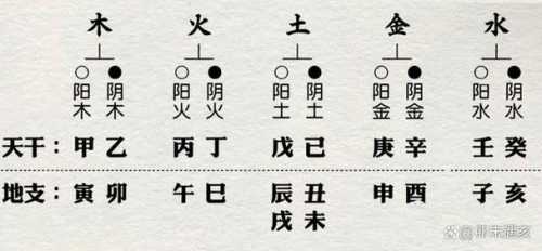 八字十二地支详解卯