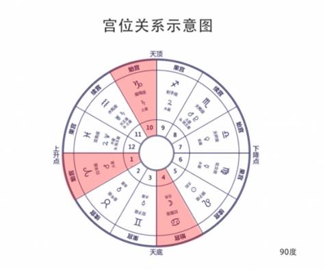“八字宫位取象：藏在十二地支里的暗码